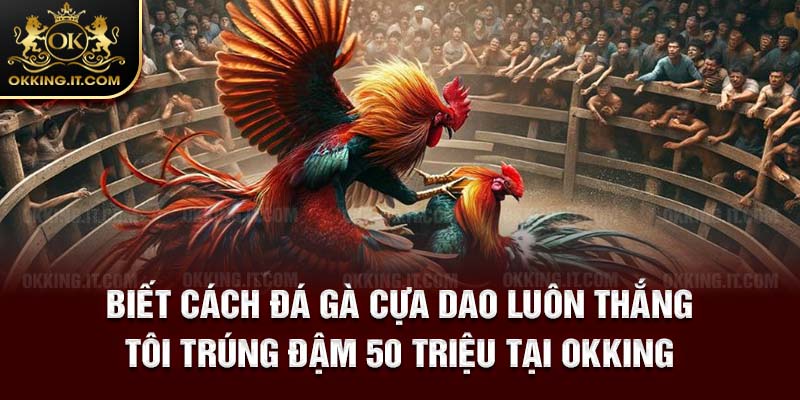 Biết cách đá gà cựa da tôi đã húp lớn