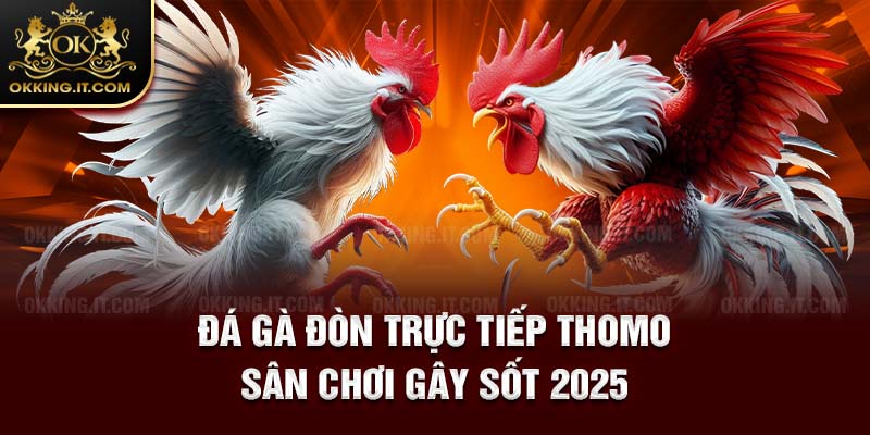 Đá gà Okking an toàn và bảo mật tuyệt đối