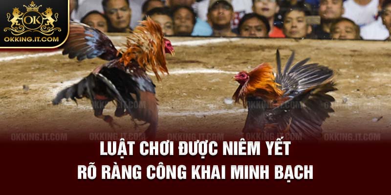 Luật chơi được niêm yết rõ ràng công khai minh bạch
