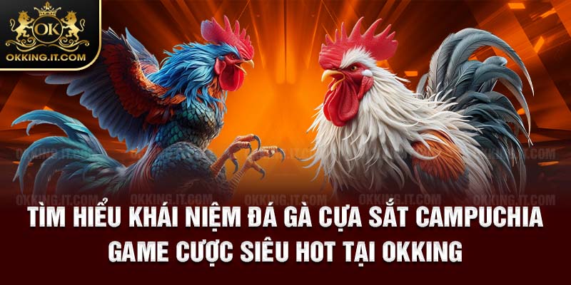 Tìm hiểu khái niệm đá gà cựa sắt Campuchia - Game cược siêu hot tại Okking