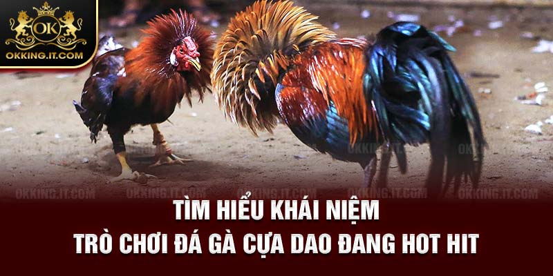 Tìm hiểu khái niệm trò chơi đá gà cựa dao đang hot hit