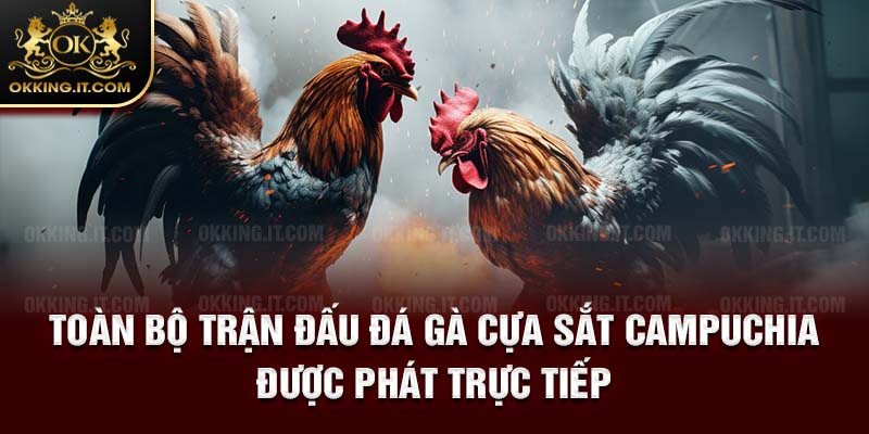 Toàn bộ trận đấu đá gà cựa sắt campuchia được phát trực tiếp