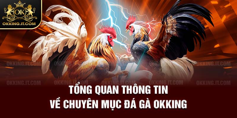 Tổng quan thông tin về chuyên mục đá gà Okking
