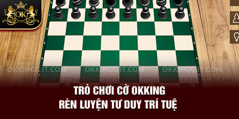 Trò chơi cờ rèn luyện tư duy trí tuệ 